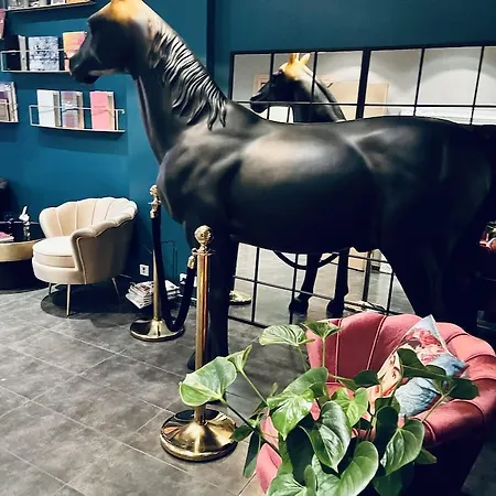 Center Hotel 3*